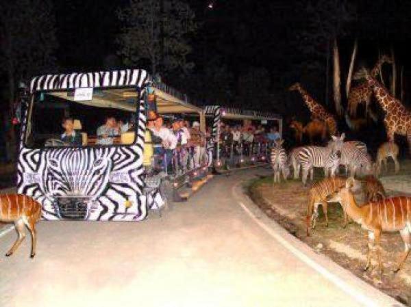 Chiangmai Night Safari Resort Chiang Mai Exterior foto